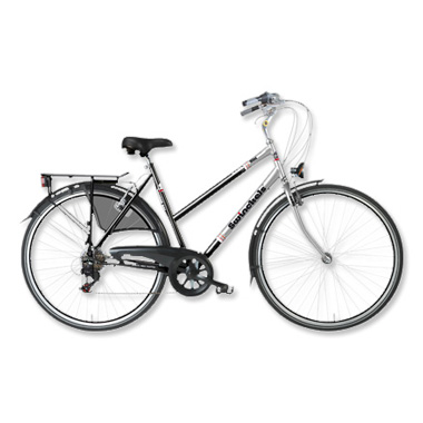 Blokker - Swinckels Dames stadsfiets Touring GLX Blokker - Swinckels Dames stadsfiets Touring GLX