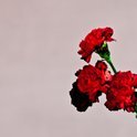 Bol.com - John Legend - Love In The Future (Deluxe Edition)