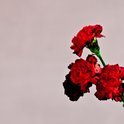 Bol.com - John Legend - Love In The Future (Deluxe Edition) Bol.com - John Legend - Love In The Future (Deluxe Edition)
