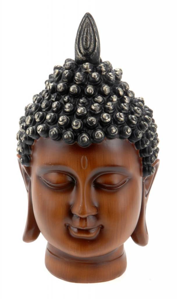 Buy This Today - 25 Cm Boeddha Hoofd En Gratis