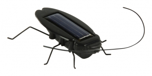 Buy This Today - Dansende Solar Insecten. Vanaf 7,50 Buy This Today - Dansende Solar Insecten. Vanaf 7,50