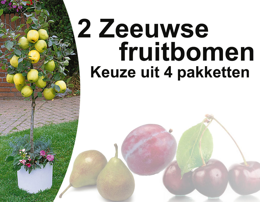 Click to Buy - 2 Zeeuwse fruitbomen voor tuin, terras of balkon – kies uit 4 verschillende