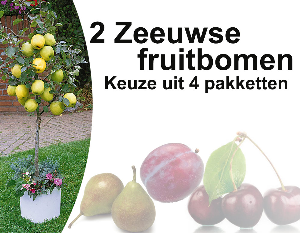 Click to Buy - 2 Zeeuwse fruitbomen voor tuin, terras of balkon – kies uit 4 verschillende Click to Buy - 2 Zeeuwse fruitbomen voor tuin, terras of balkon – kies uit 4 verschillende