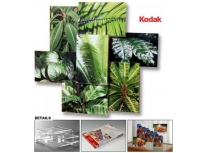 Click to Buy - Design Foto Lijst Click to Buy - Design Foto Lijst