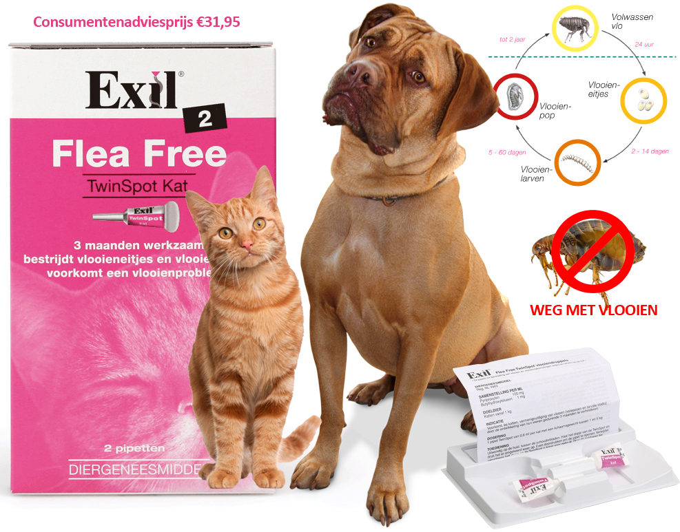 Click to Buy - Exil Flea Free Twinspot voor Kat of Hond Click to Buy - Exil Flea Free Twinspot voor Kat of Hond