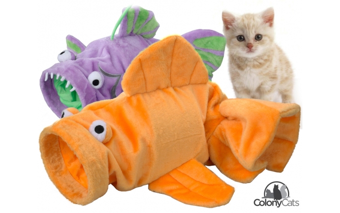 Click to Buy - Kattentunnel Dierendag Tip! Click to Buy - Kattentunnel Dierendag Tip!