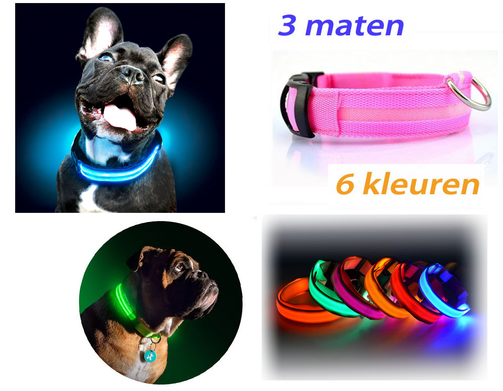 Click to Buy - LED Halsband voor je Hond