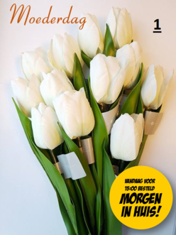 Dagknaller - 12 Prachtige Kunstbloemen 3 Keuzes Dagknaller - 12 Prachtige Kunstbloemen 3 Keuzes