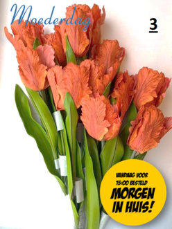 Dagknaller - 12 Prachtige Kunstbloemen - Oranje/Rood