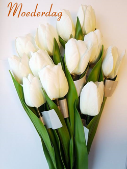 Dagknaller - 12 Prachtige Kunstbloemen - Wit Dagknaller - 12 Prachtige Kunstbloemen - Wit