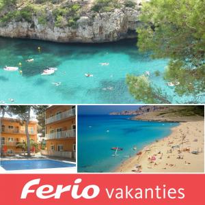 Dagknaller - 8 Daagse Vliegvakantie Naar El Arenal-mallorca Dagknaller - 8 Daagse Vliegvakantie Naar El Arenal-mallorca