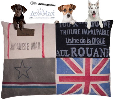 Dagknaller - Lex &Amp; Max Vintage - Hondenkussen - Rechthoek - Mail - 100X70cm - *Wij Hebben Op Dit Moment Een Storing Bij De Betaling, Dit Wordt Z.S.M. Verholpen Dagknaller - Lex &Amp; Max Vintage - Hondenkussen - Rechthoek - Mail - 100X70cm - *Wij Hebben Op Dit Moment Een Storing Bij De Betaling, Dit Wordt Z.S.M. Verholpen