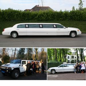 Dagknaller - Limo City Tour (8 Personen)