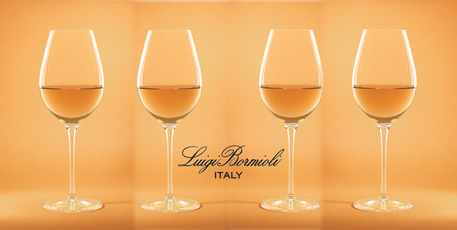 Dagknaller - Luigi Bormioli Rich Wines Witte Wijnglas - 0.49 L - 4 Stuks