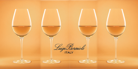 Dagknaller - Luigi Bormioli Rich Wines Witte Wijnglas - 0.49 L - 4 Stuks Dagknaller - Luigi Bormioli Rich Wines Witte Wijnglas - 0.49 L - 4 Stuks