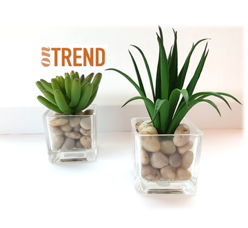 Dagknaller - Mini Kunstplantjes - Succulent En Aloe Green Dagknaller - Mini Kunstplantjes - Succulent En Aloe Green