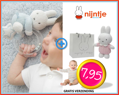 Dagknaller - Nijntje - Gebreid Ringrammelaar + Knuffel In Tasje 22Cm Dagknaller - Nijntje - Gebreid Ringrammelaar + Knuffel In Tasje 22Cm