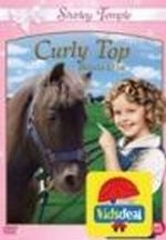 Dagproduct - Curly Top . Dagproduct - Curly Top .