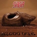 Dagproduct - Saga