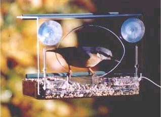 Dagproduct - Vogelhuisje Dagproduct - Vogelhuisje