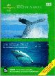 Dagproduct - Walvis & De Witte Haai Dagproduct - Walvis & De Witte Haai