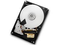Day Breaker - Hitachi 7K3000 3TB 3.5" Deskstar Day Breaker - Hitachi 7K3000 3TB 3.5" Deskstar
