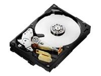 Day Breaker - Hitachi Interne 1TB 3.5&quot; SATA Schijf