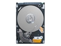 Day Breaker - Seagate 1TB 2.5" SATA-300