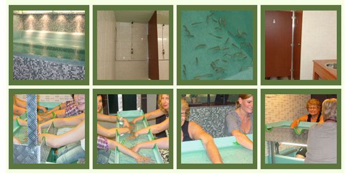 Day Dealers - 30 minuten durende Fish & Spa behandeling Day Dealers - 30 minuten durende Fish & Spa behandeling