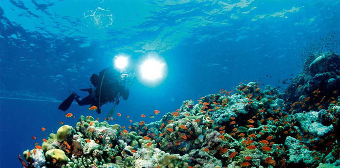 Day Dealers - 8-Daagse Scuba Vakantie Foixa Day Dealers - 8-Daagse Scuba Vakantie Foixa