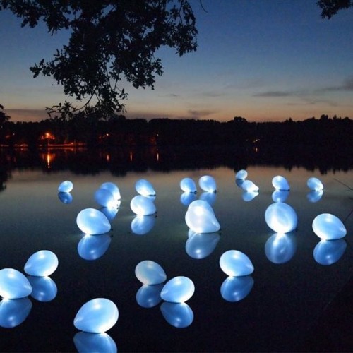 Day Dealers - Super deal: 10 LED Ballonnen