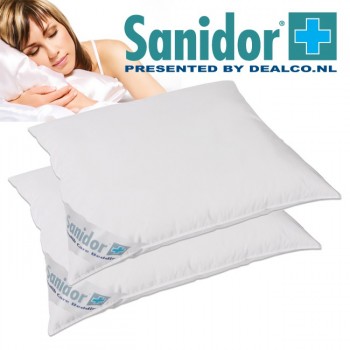 Deal Digger - 2 X Sanidor Antiallergie Kussens Deal Digger - 2 X Sanidor Antiallergie Kussens