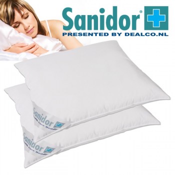 Deal Digger - 2 X Sanidor Antiallergie Kussens