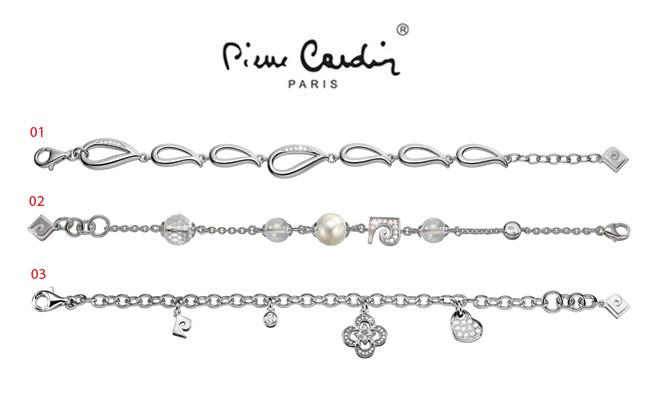 Deal Digger - Zilveren Pierre Cardin Armbanden Deal Digger - Zilveren Pierre Cardin Armbanden