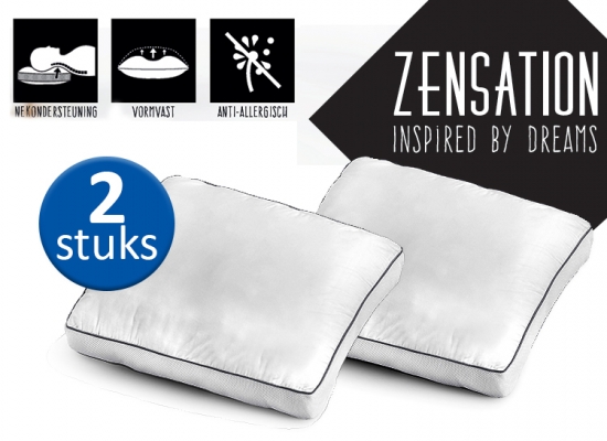 Deal Donkey - Zensation 3D Air Box Kussens - Nek Ondersteunend En Anti-Allergisch - 2 Stuks Deal Donkey - Zensation 3D Air Box Kussens - Nek Ondersteunend En Anti-Allergisch - 2 Stuks