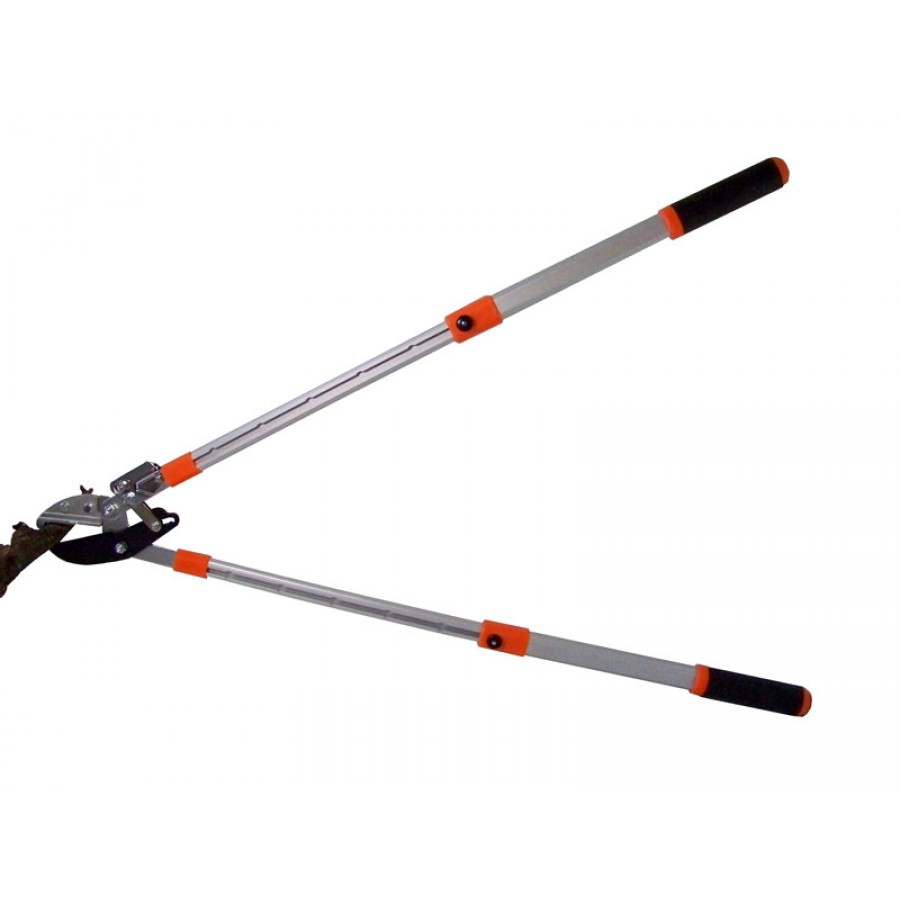 Doebie - Steinberger takkenschaar 67CM GRATIS VERZENDING Doebie - Steinberger takkenschaar 67CM GRATIS VERZENDING