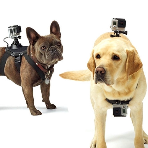 Gadgetknaller - Gopro Hondenharnas Gadgetknaller - Gopro Hondenharnas