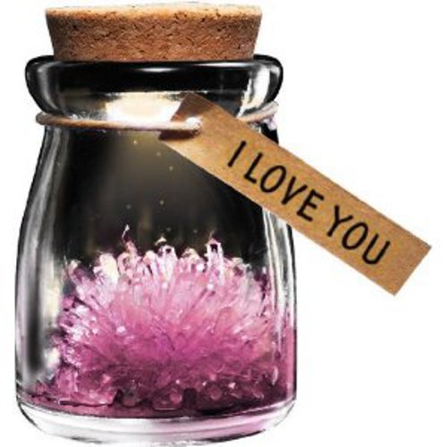 Gadgetknaller - I Love You Wish Flower Gadgetknaller - I Love You Wish Flower