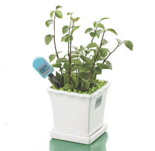 Gadgetknaller - Water Me! - Plant alarm Gadgetknaller - Water Me! - Plant alarm