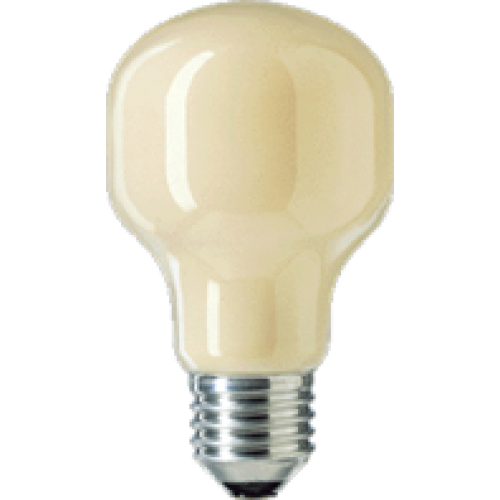 Gave Aktie - 10 Flame E27 60 Watt Gloeilamp Gave Aktie - 10 Flame E27 60 Watt Gloeilamp