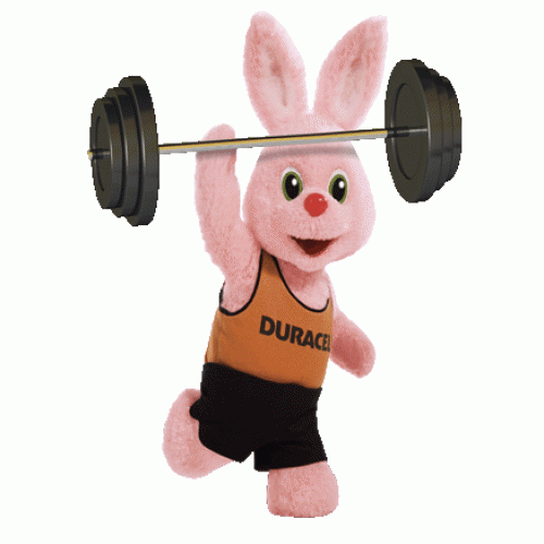 Gave Aktie - 24x Duracell AA + 12x Duracell AAA Gave Aktie - 24x Duracell AA + 12x Duracell AAA