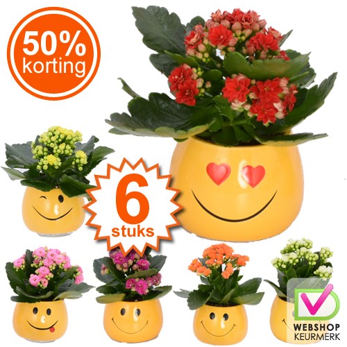 Gave Aktie - 6 Valentijntjes Gave Aktie - 6 Valentijntjes