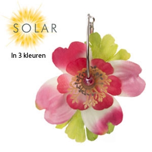 Goeiemode (v) - Hippe Oorbel Van Solar