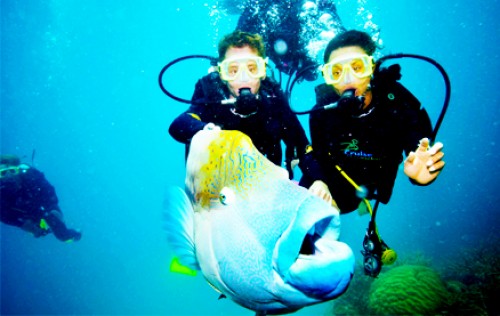 Golden Deals - Duikbrevet behaald? Ga nu een stap verder met de PADI Advanced Open Water cursus! Golden Deals - Duikbrevet behaald? Ga nu een stap verder met de PADI Advanced Open Water cursus!