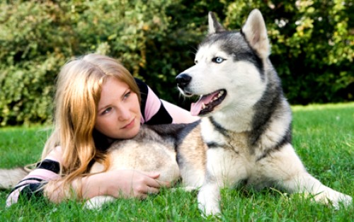Golden Deals - Verras je vriend/vriendin met een Huskytocht + overnachting in een tipi! Golden Deals - Verras je vriend/vriendin met een Huskytocht + overnachting in een tipi!