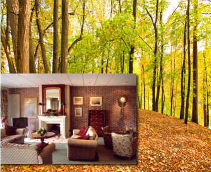 Groupdeal - 3 daags verblijf incl diner in Hotel Dorhout Mees*** Biddinghuizen Groupdeal - 3 daags verblijf incl diner in Hotel Dorhout Mees*** Biddinghuizen