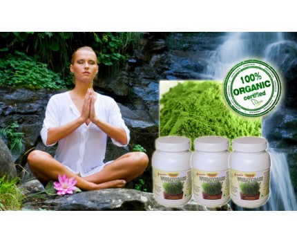 Groupdeal - 3 potten Tarwegras poeder voor 90 dagen detox behandeling, maak je lichaam gezonder! Groupdeal - 3 potten Tarwegras poeder voor 90 dagen detox behandeling, maak je lichaam gezonder!