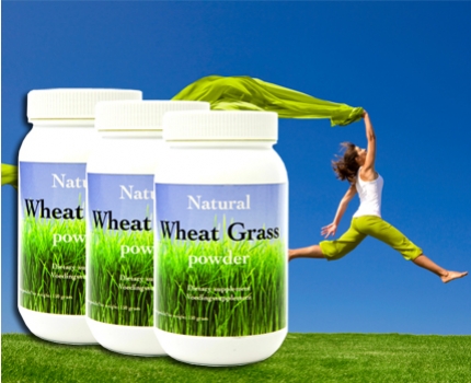 Groupdeal - 450 gram tarwegraspoeder detox voor 90 dagen! Groupdeal - 450 gram tarwegraspoeder detox voor 90 dagen!