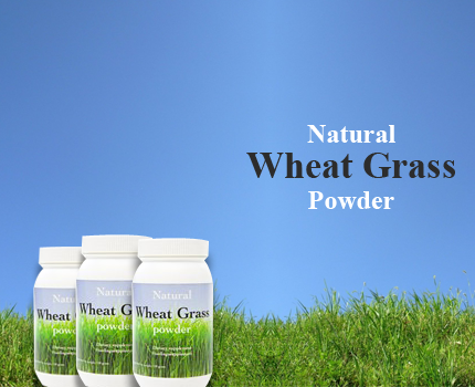 Groupdeal - 450 gram tarwegraspoeder detox voor 90 dagen! Groupdeal - 450 gram tarwegraspoeder detox voor 90 dagen!
