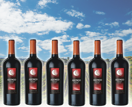 Groupdeal - 6 flessen Alunco Cabernet Sauvignon Malbec Groupdeal - 6 flessen Alunco Cabernet Sauvignon Malbec